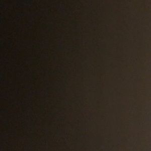 Meet your Posher, Trevor